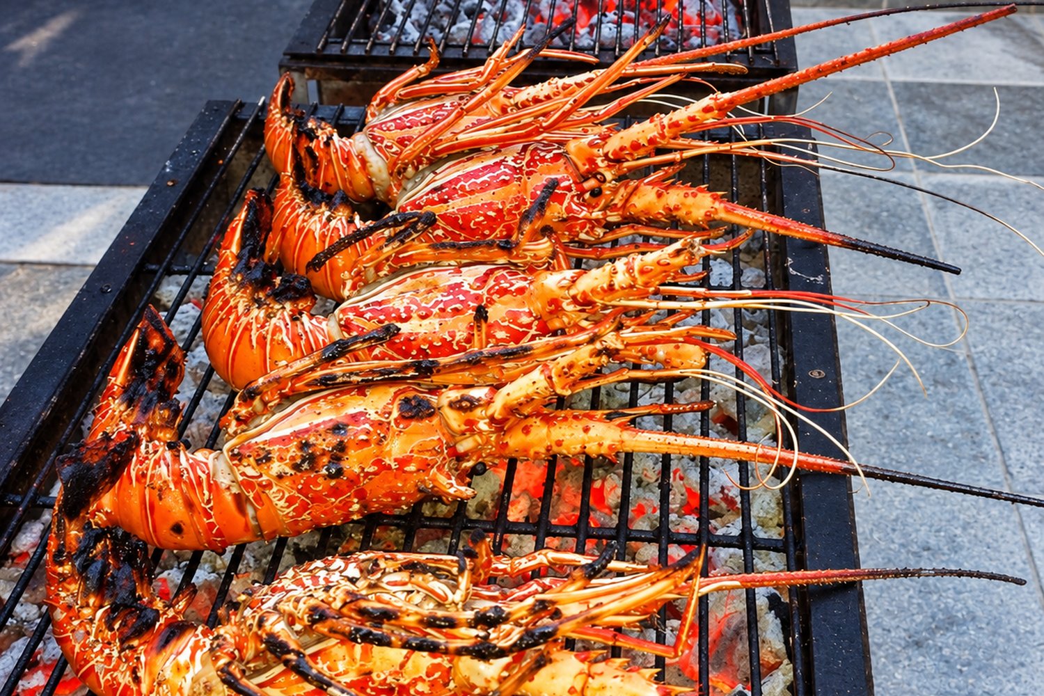 Grilled lobster at our Wednesday BBQ